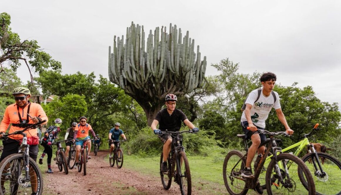 Imagen de WhatsApp 2025-06-16 a las 12.25.10_d85fc5fe