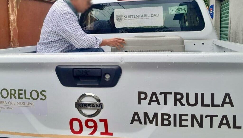 Imagen de WhatsApp 2025-06-16 a las 18.54.10_4a928fb5