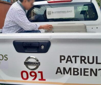Imagen de WhatsApp 2025-06-16 a las 18.54.10_4a928fb5