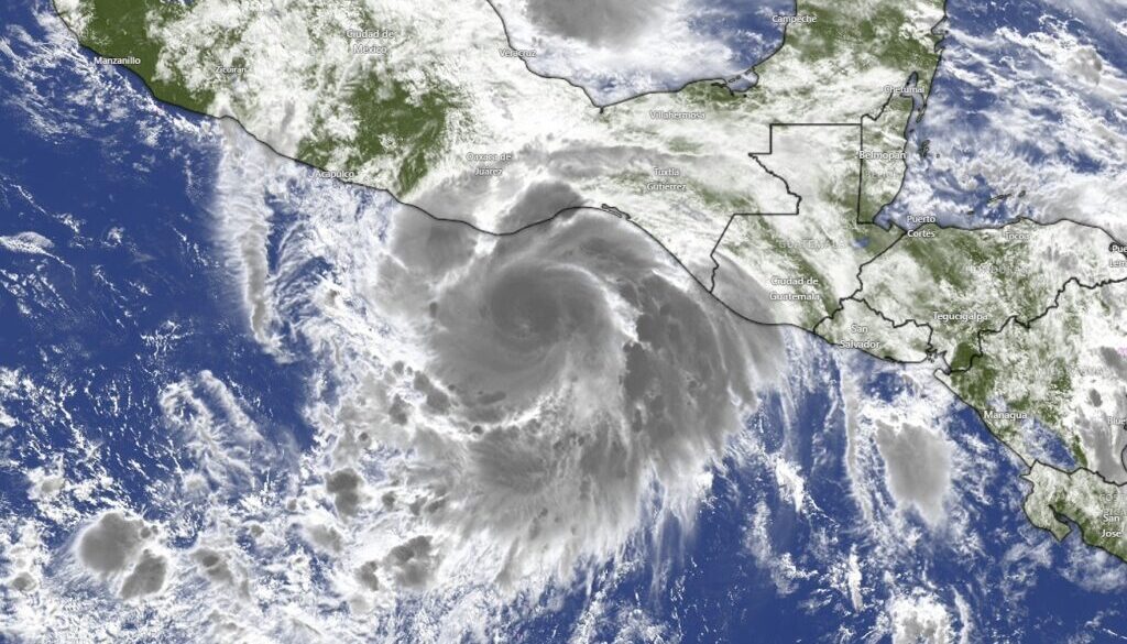 Imagen de WhatsApp 2025-06-18 a las 11.00.16_8d0327ca
