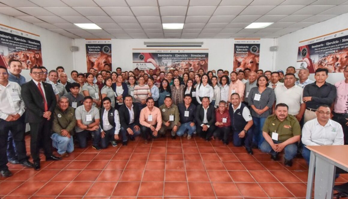 Imagen de WhatsApp 2025-06-18 a las 14.40.20_5920a239