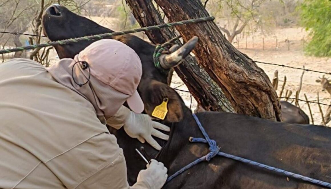 Imagen de WhatsApp 2025-06-20 a las 12.05.46_05bb46d2