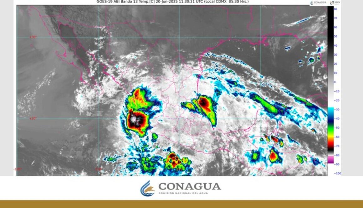 Imagen de WhatsApp 2025-06-20 a las 14.16.08_109d7deb