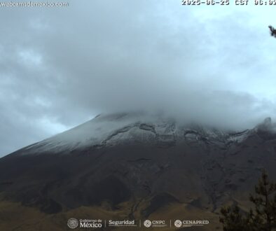 Imagen de WhatsApp 2025-06-25 a las 13.23.04_4024ec26