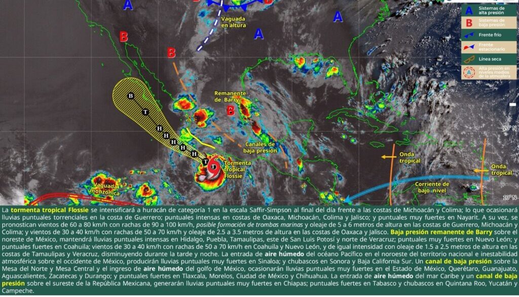 Imagen de WhatsApp 2025-06-30 a las 12.00.08_9d5ed66f