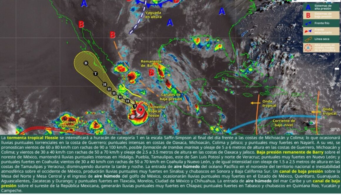 Imagen de WhatsApp 2025-06-30 a las 12.00.08_9d5ed66f