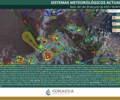 Imagen de WhatsApp 2025-06-30 a las 12.00.08_9d5ed66f