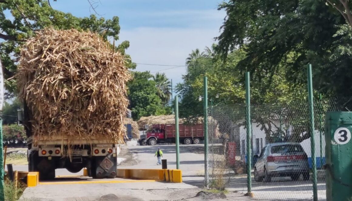 caña-zacatepec