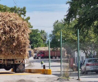 caña-zacatepec