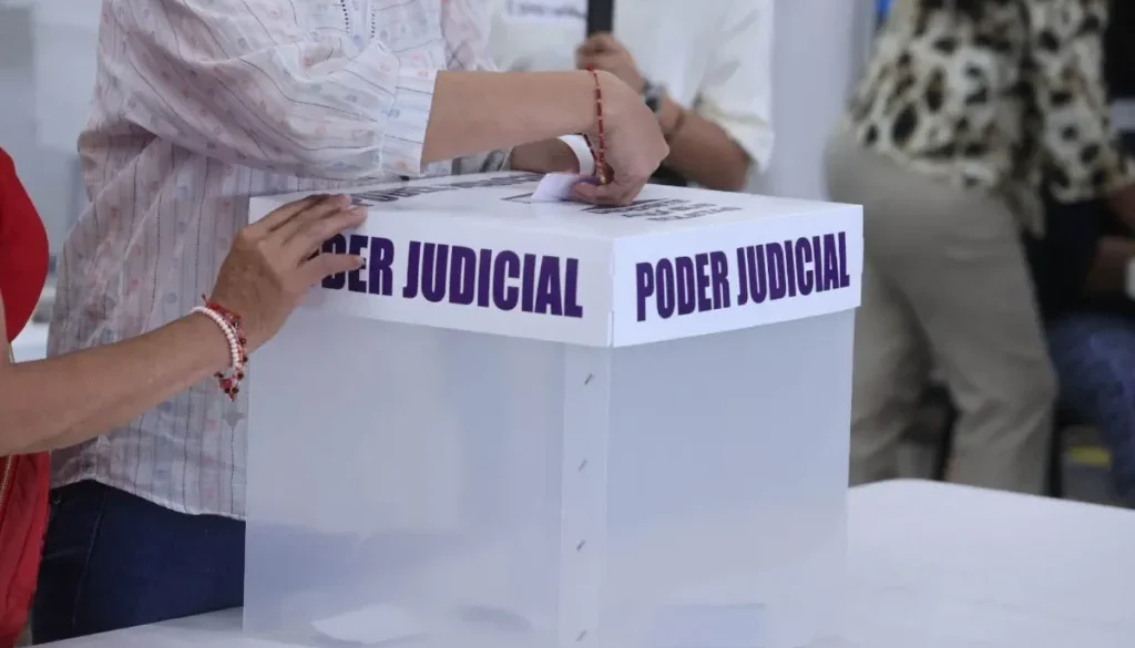 eleccion-judicial-no-ire-a-votar-el_1-12026343_20250525225056