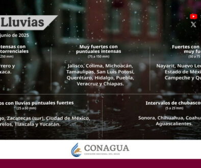 infografia_general