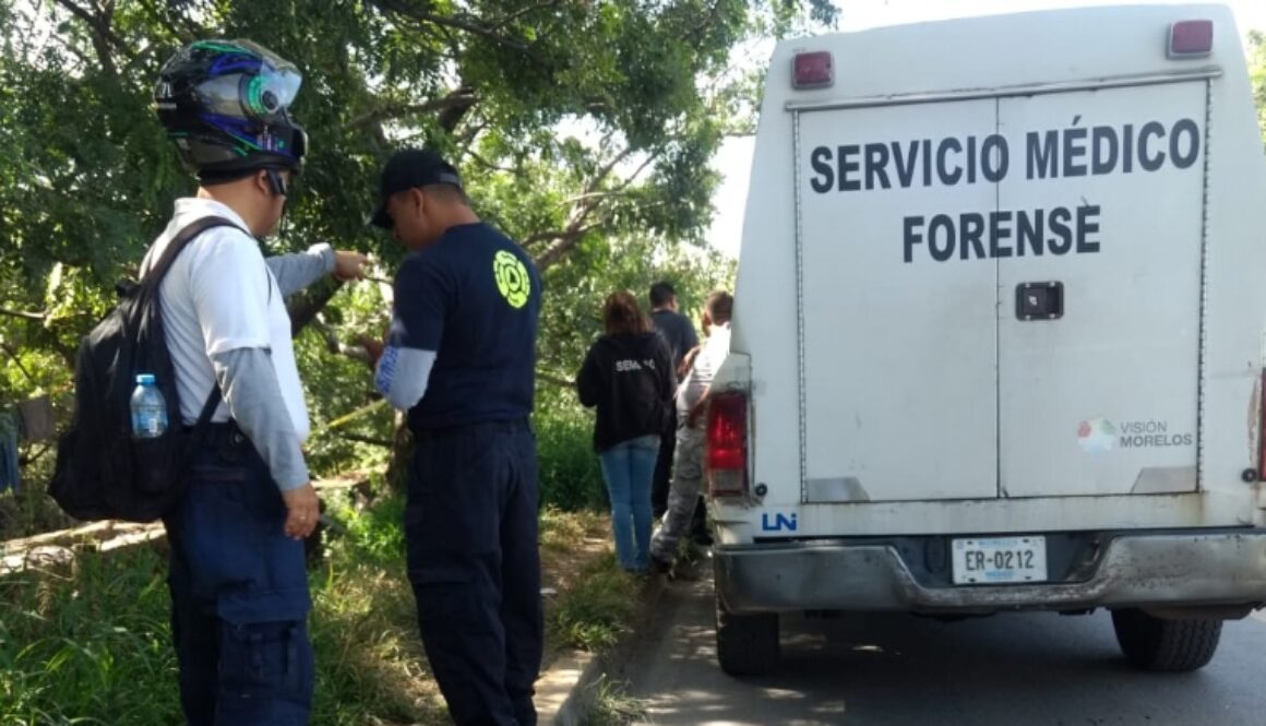 CREATOR: gd-jpeg v1.0 (using IJG JPEG v62), quality = 100