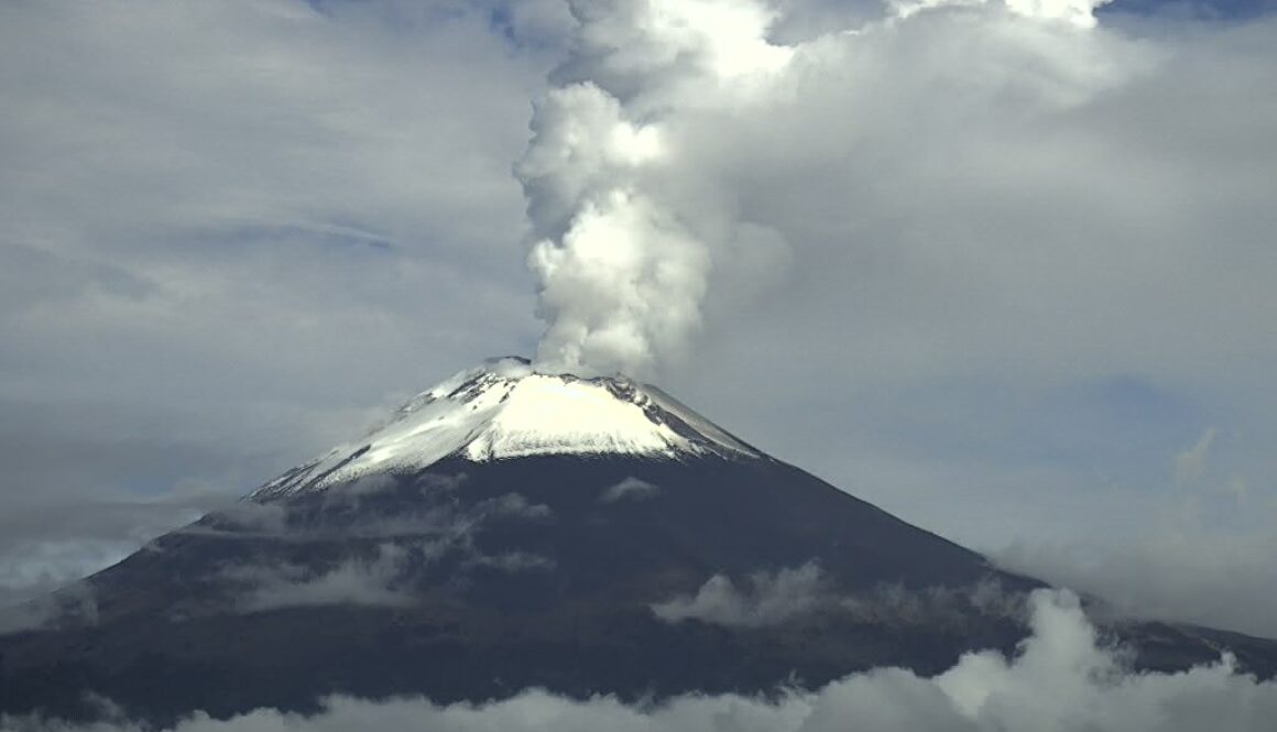 Imagen de WhatsApp 2025-07-01 a las 11.30.09_6c595542