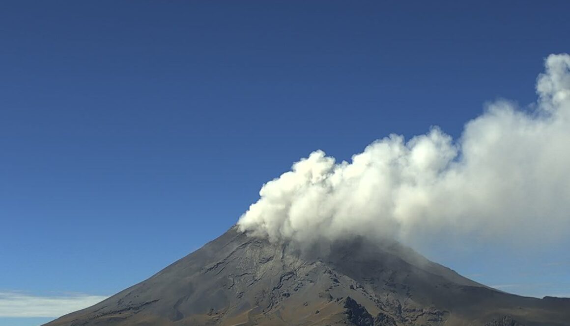 Imagen de WhatsApp 2025-07-04 a las 11.01.08_0f8a5d31