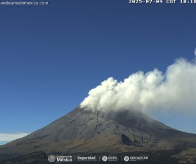 Imagen de WhatsApp 2025-07-04 a las 11.01.08_0f8a5d31