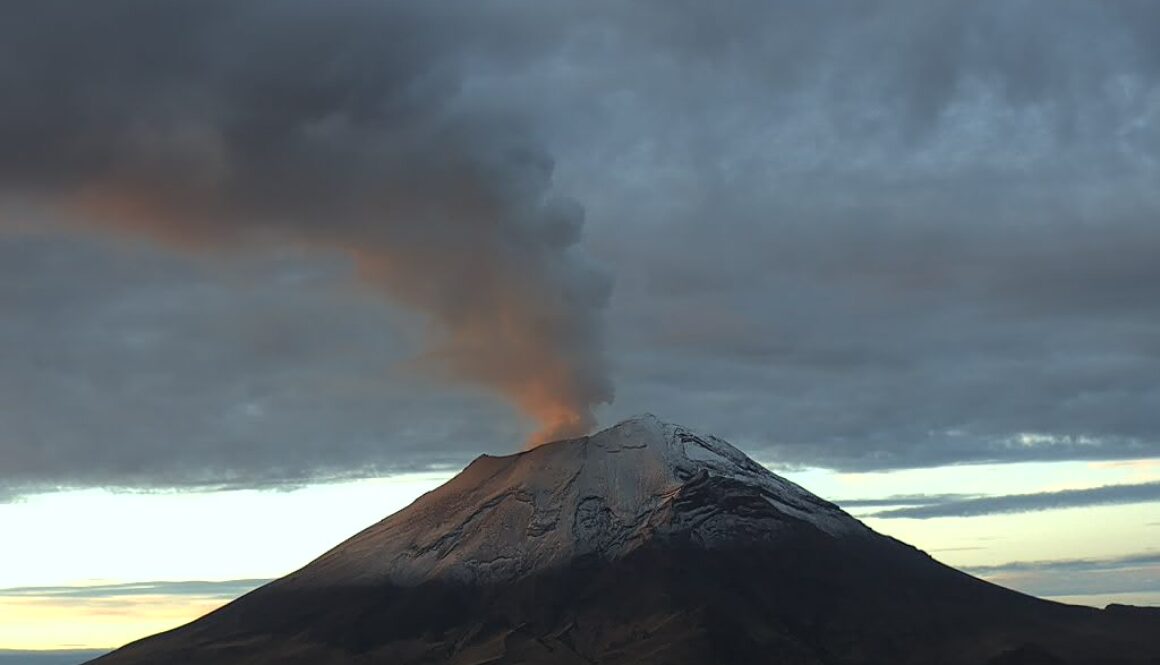 Imagen de WhatsApp 2025-07-10 a las 11.55.42_6526cc8b