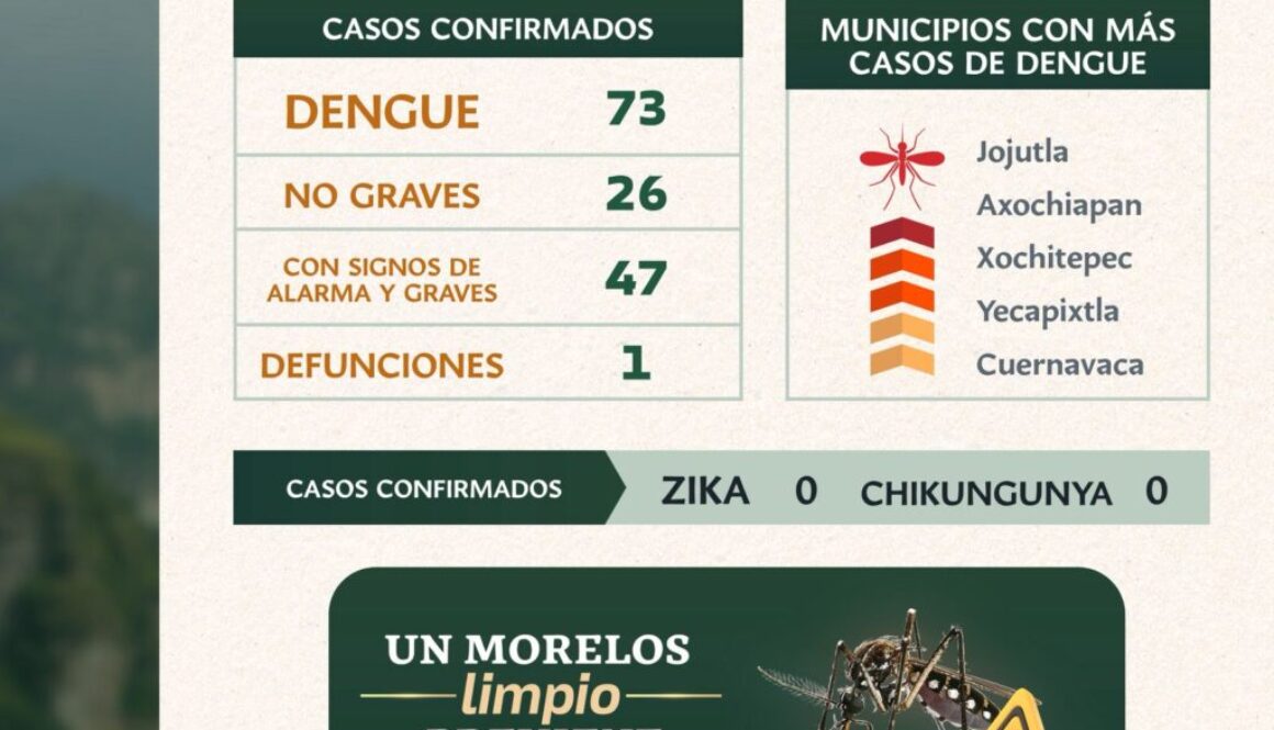 Imagen de WhatsApp 2025-07-10 a las 12.10.29_97821ae4