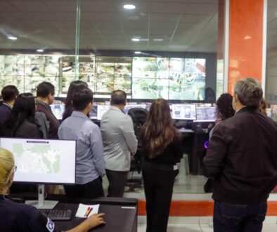 Imagen de WhatsApp 2025-07-11 a las 08.02.28_db97d368