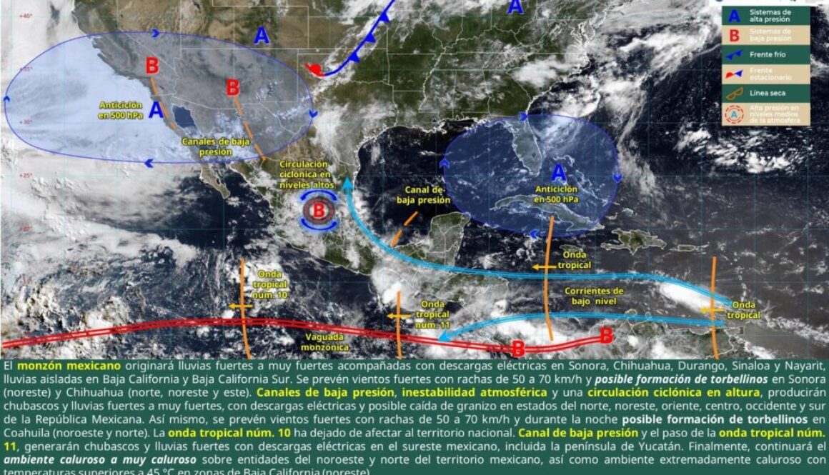 Imagen de WhatsApp 2025-07-11 a las 15.17.11_5e818c07