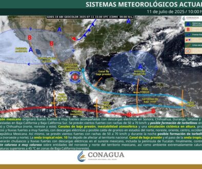 Imagen de WhatsApp 2025-07-11 a las 15.17.11_5e818c07