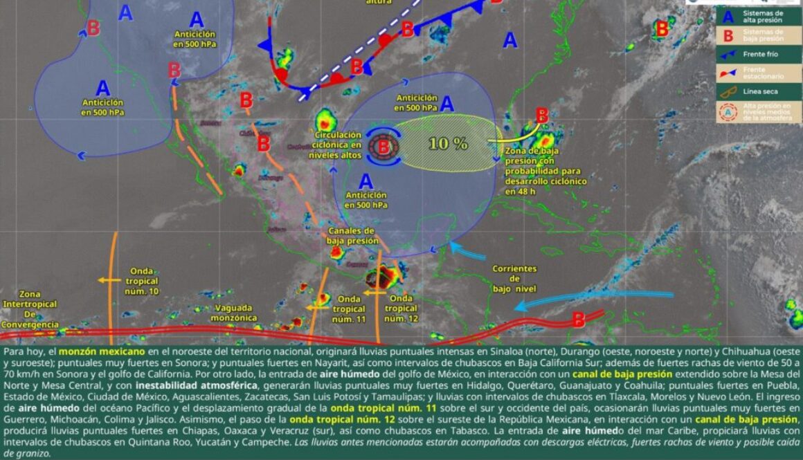 Imagen de WhatsApp 2025-07-14 a las 11.15.17_7bf3130d