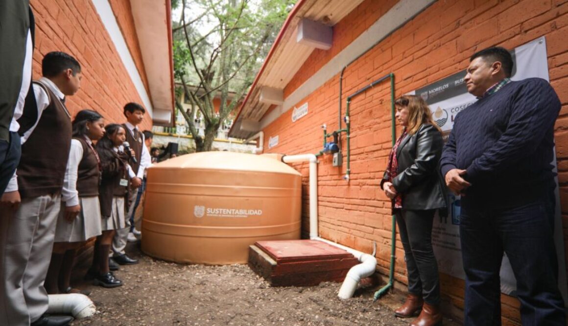 Imagen de WhatsApp 2025-07-14 a las 14.43.40_a7b82972