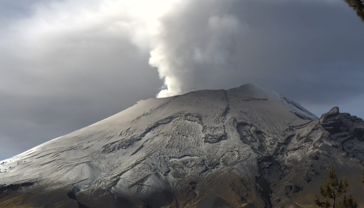 Imagen de WhatsApp 2025-07-15 a las 11.35.29_de0d4047