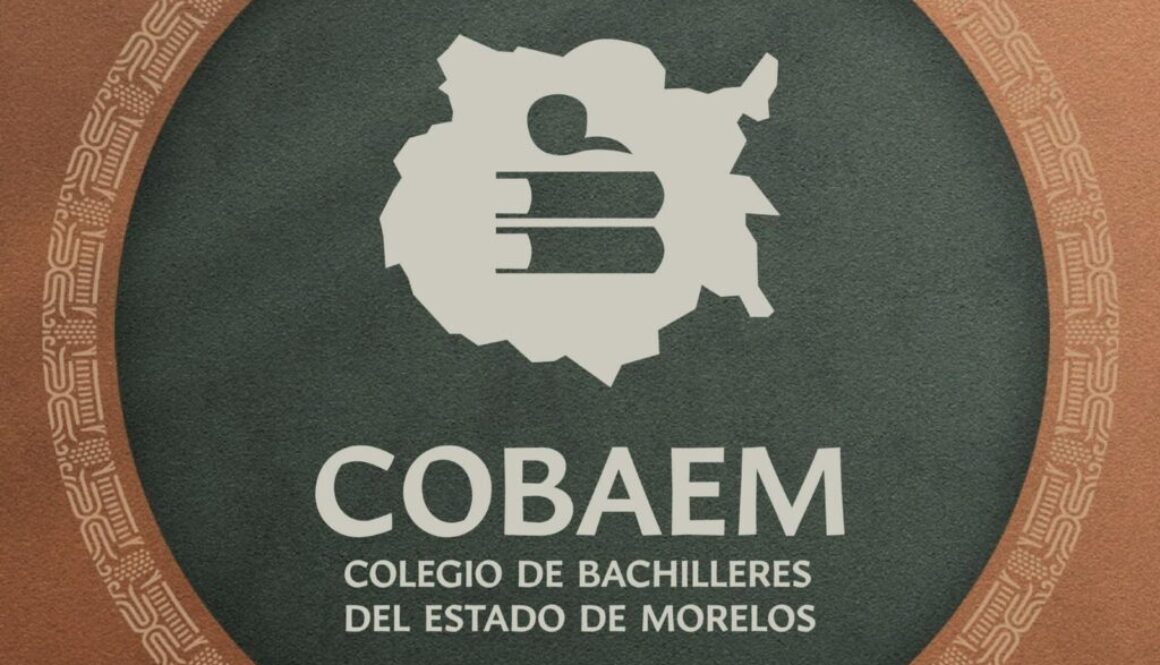 Imagen de WhatsApp 2025-07-15 a las 16.15.37_87252874