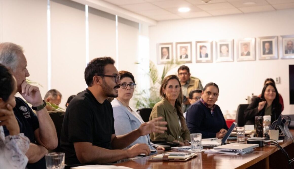 Imagen de WhatsApp 2025-07-16 a las 11.15.32_98a8dc47