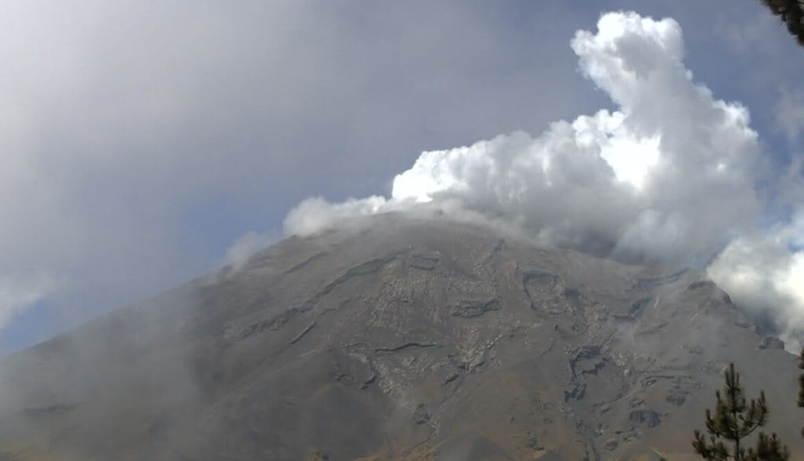 Imagen de WhatsApp 2025-07-21 a las 11.45.20_fdd0a816