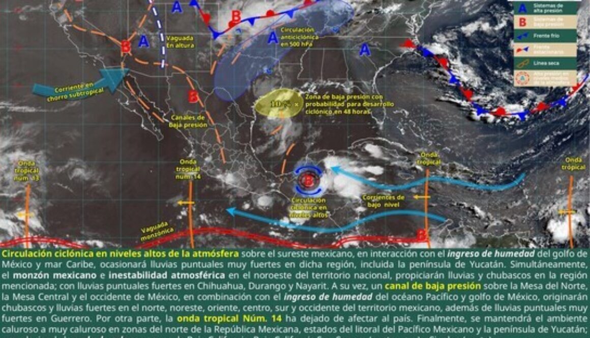 Imagen de WhatsApp 2025-07-25 a las 11.20.13_66b32760