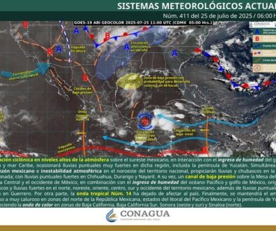 Imagen de WhatsApp 2025-07-25 a las 11.20.13_66b32760