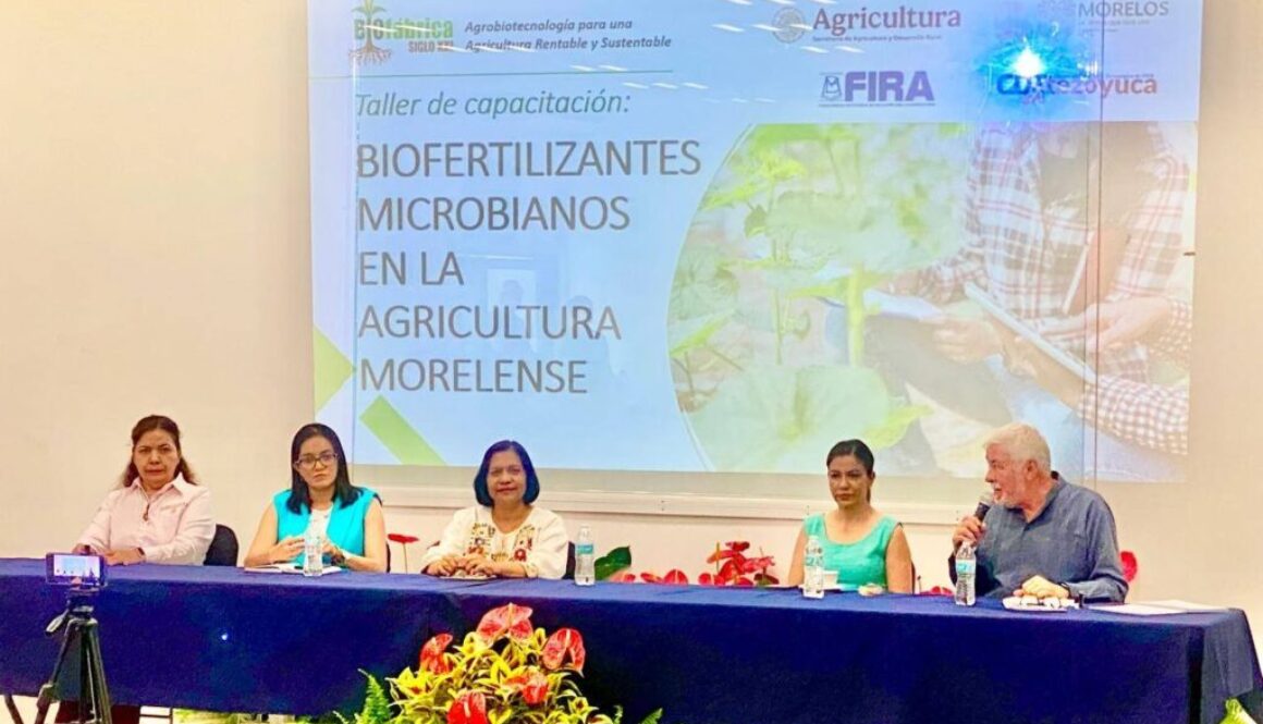 Imagen de WhatsApp 2025-07-25 a las 13.00.21_04014606