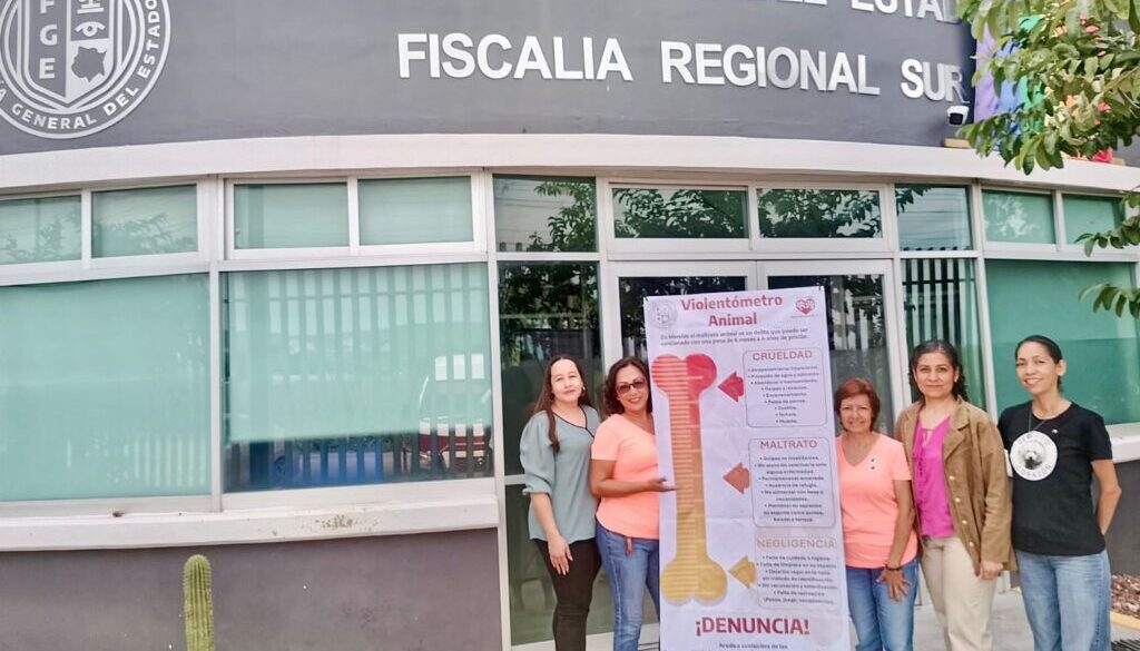 Imagen de WhatsApp 2025-07-27 a las 10.56.42_cb451ab3