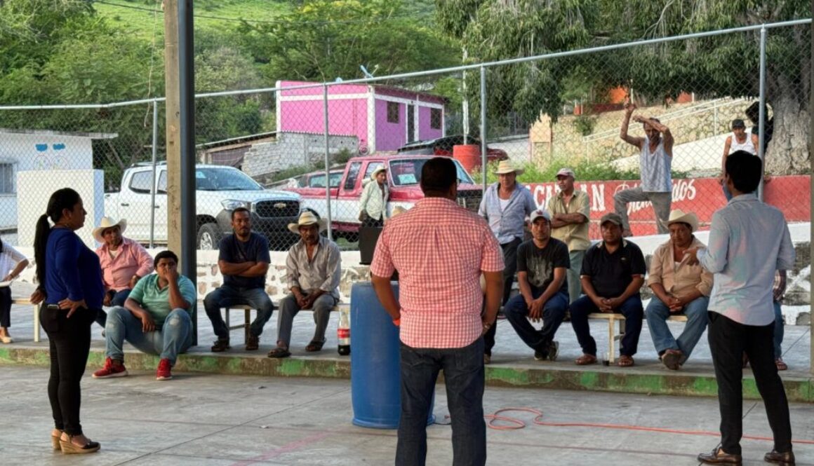 Imagen de WhatsApp 2025-07-27 a las 13.00.36_4298e965