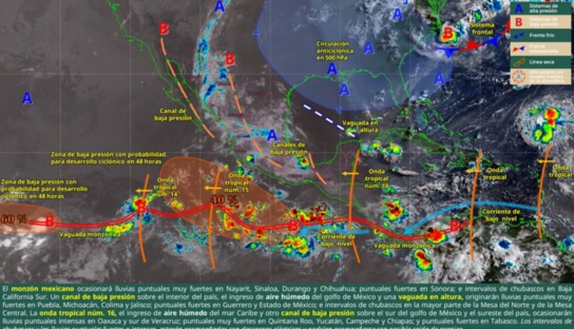 Imagen de WhatsApp 2025-07-28 a las 17.55.24_4a699bb0