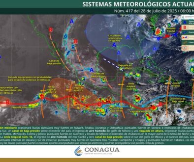 Imagen de WhatsApp 2025-07-28 a las 17.55.24_4a699bb0