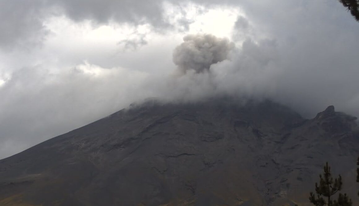 Imagen de WhatsApp 2025-07-31 a las 12.05.28_f86ce30d