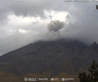 Imagen de WhatsApp 2025-07-31 a las 12.05.28_f86ce30d