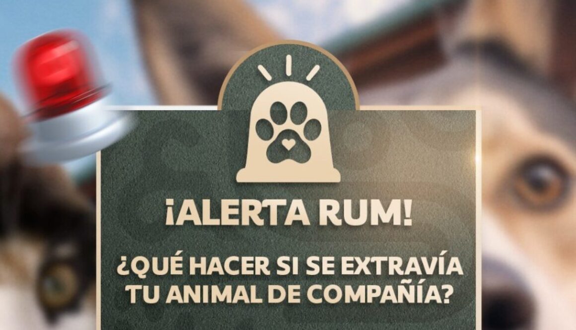 Imagen de WhatsApp 2025-07-31 a las 16.45.38_090ad2bb