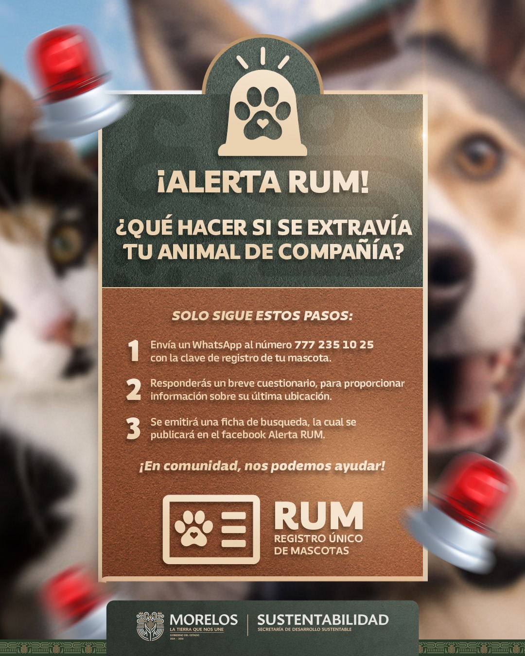 PONE EN MARCHA SECRETARÍA DE DESARROLLO SUSTENTABLE ALERTA RUM