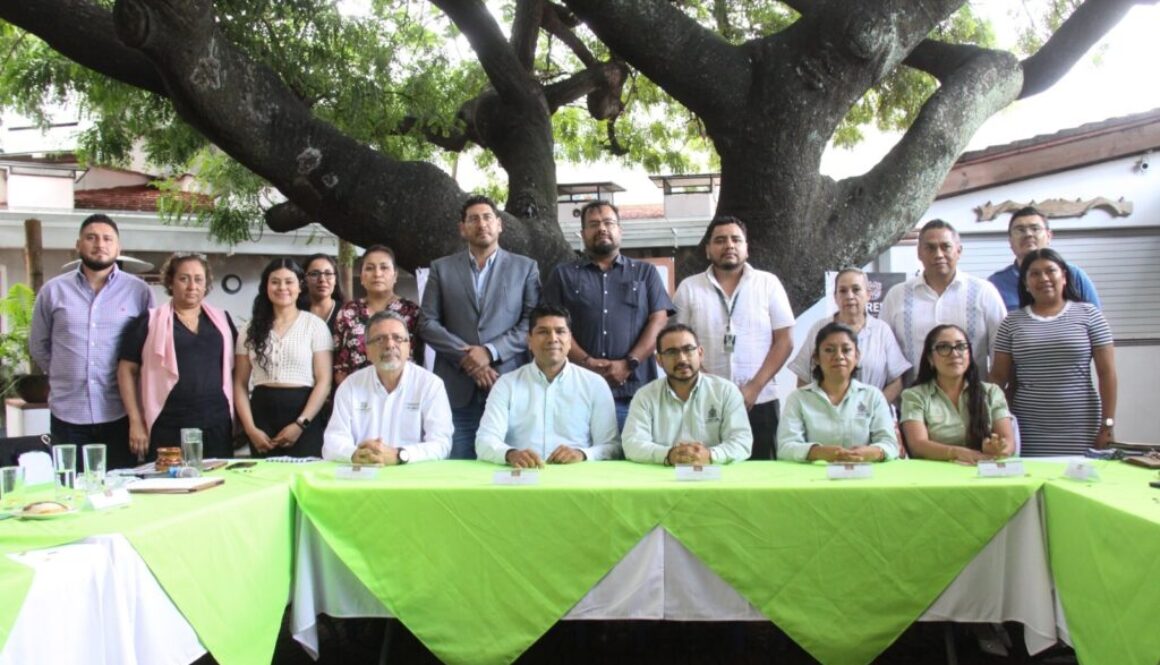 Imagen de WhatsApp 2025-07-31 a las 17.30.34_e6072406