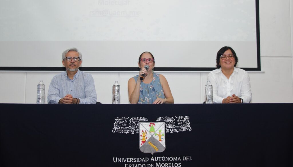 Verano Investigación2