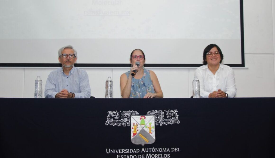 Verano Investigación2