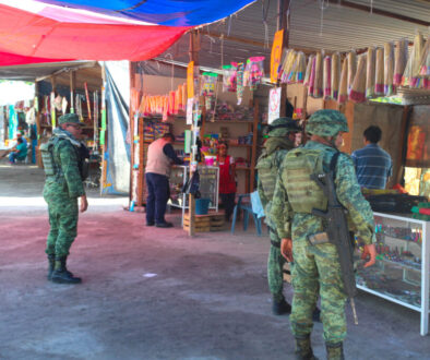 operativo-revision-tianguis-cohetes