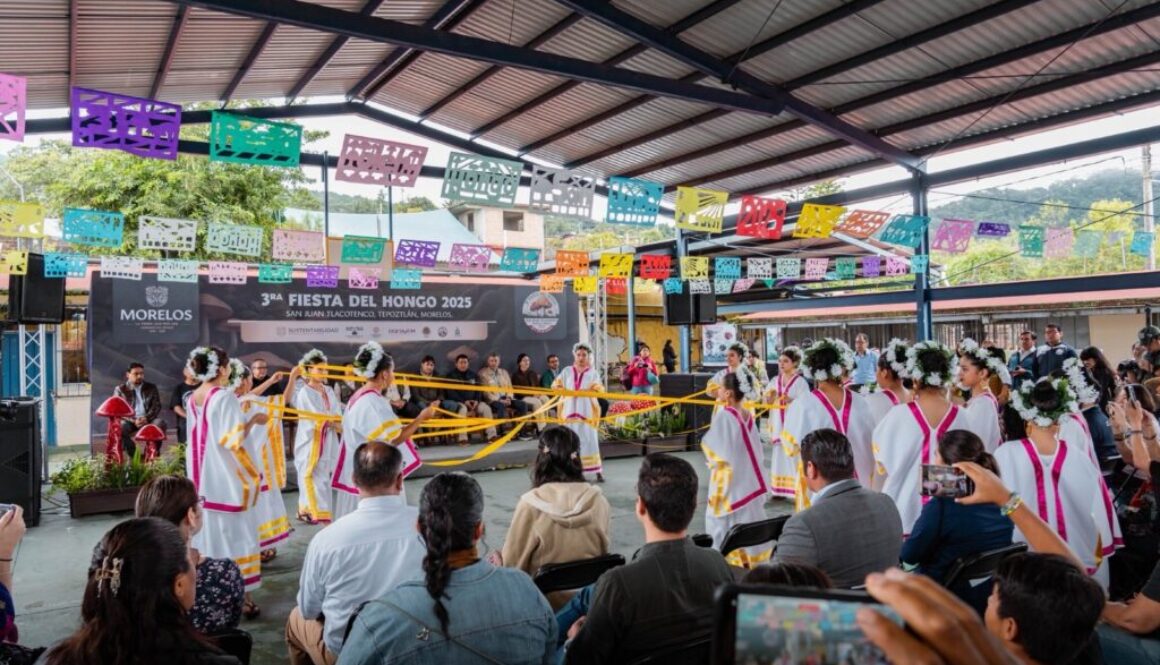 27895dff-50e9-473f-8234-f07d50297e6f