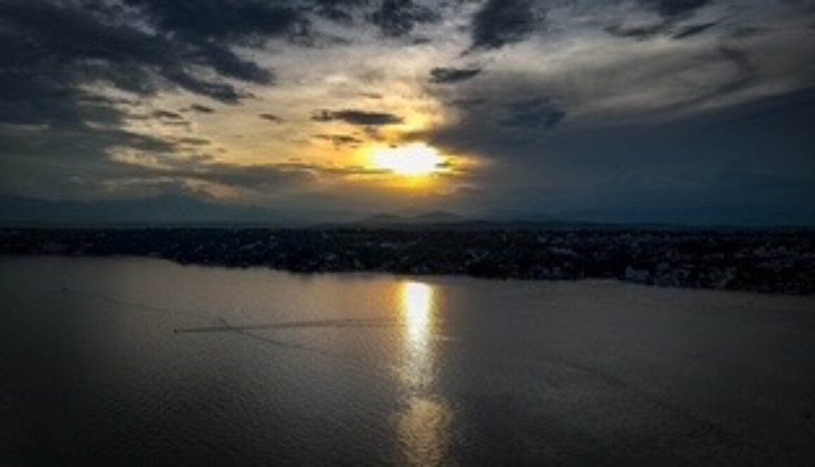 43bbe8d2-0f0f-4cff-b241-5ea4cda4befd