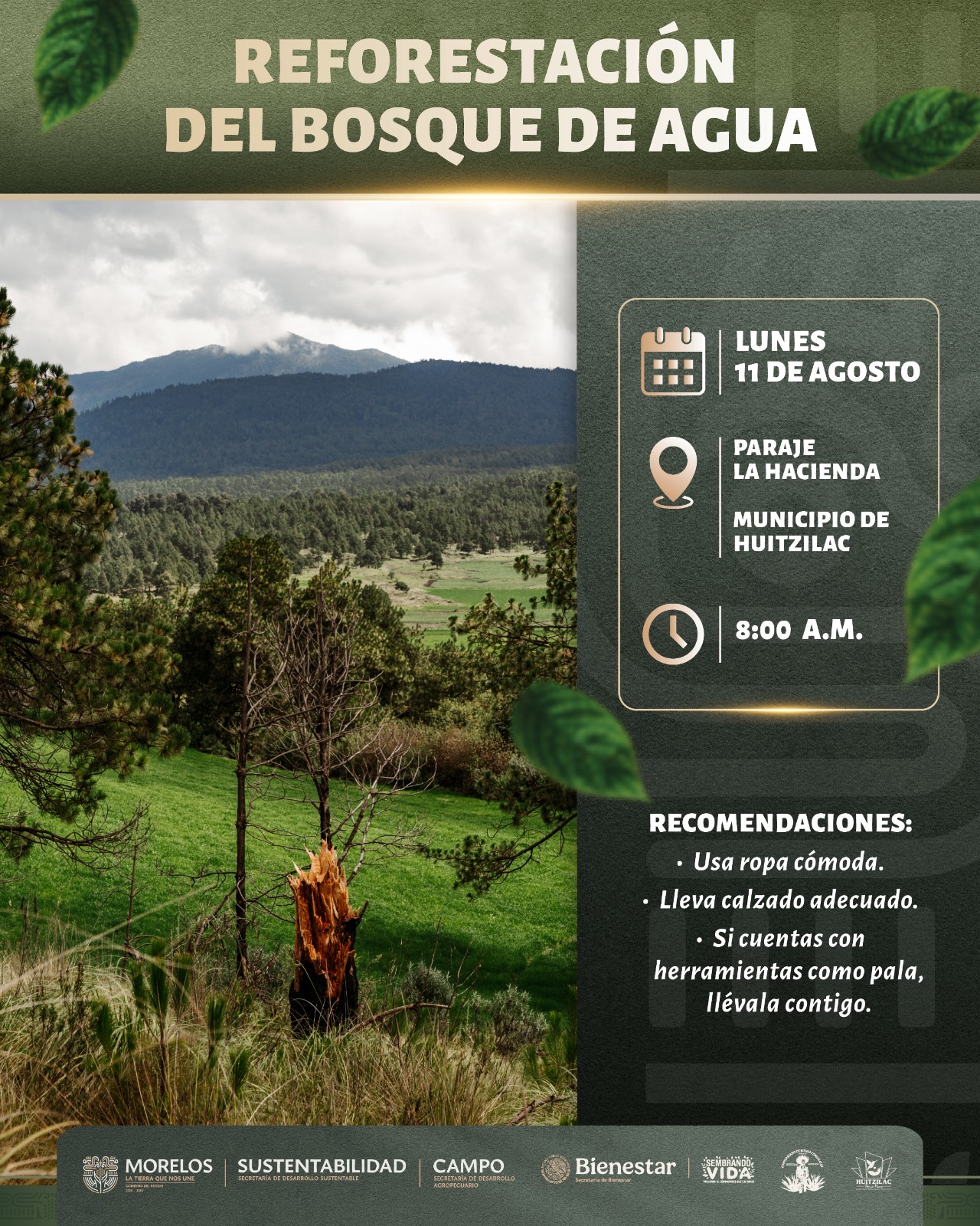 CONVOCA GOBIERNO DE MORELOS A JORNADA DE REFORESTACIÓN COLECTIVA EN EL BOSQUE DE AGUA, EN HUITZILAC CONVOCA GOBIERNO DE MORELOS A JORNADA DE REFORESTACIÓN COLECTIVA EN EL BOSQUE DE AGUA, EN HUITZILAC