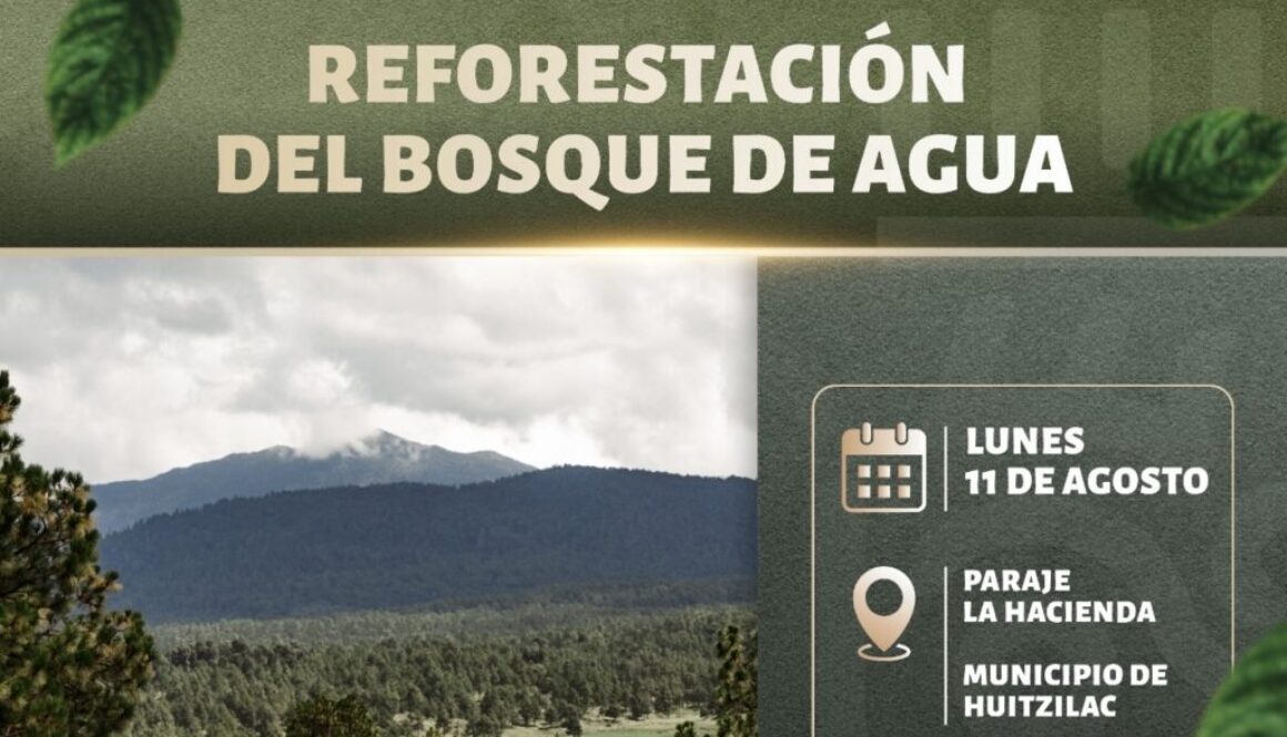 542aa4f0-abd9-4558-bcdf-a7370b4a69ee