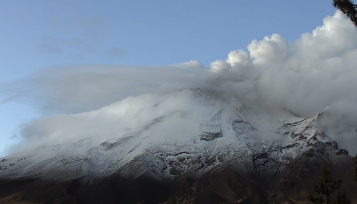 Imagen de WhatsApp 2025-08-01 a las 12.10.11_de02c3ab